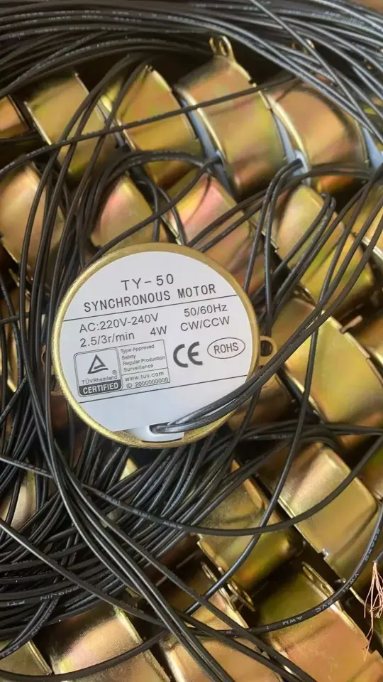 Senkron motor 4 Watt